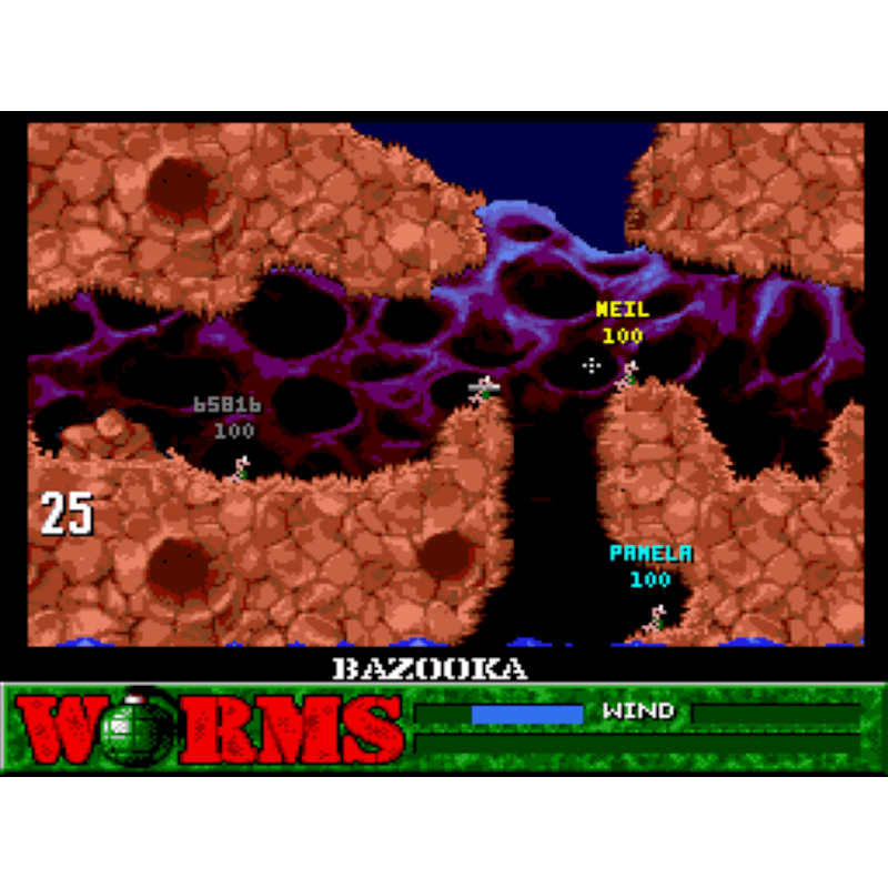 WORMS SN - Image 3