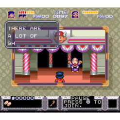 THE LEGEND OF THE MYSTICAL NINJA SN IG2