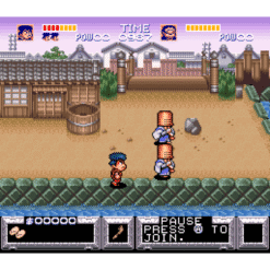 THE LEGEND OF THE MYSTICAL NINJA SN IG1