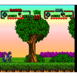 THE BLUES BROTHERS SN IG2