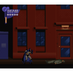 THE ADVENTURES OF BATMAN ROBIN SN IG2