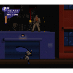 THE ADVENTURES OF BATMAN ROBIN SN IG3