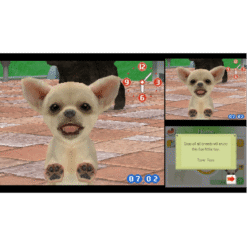 NINTENDOGS CHIHUAHUA FRIENDS NDS SEMI NOVO IG2