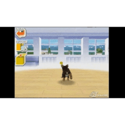 NINTENDOGS CHIHUAHUA FRIENDS NDS SEMI NOVO IG3