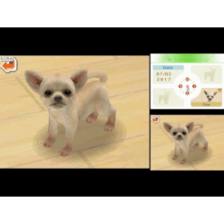 NINTENDOGS CHIHUAHUA FRIENDS NDS SEMI NOVO IG1