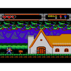 WONDER BOY IN MOSTER WORLD MS IG3