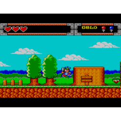 WONDER BOY IN MOSTER WORLD MS IG2