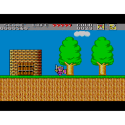 WONDER BOY IN MONSTER LAND MS IG2