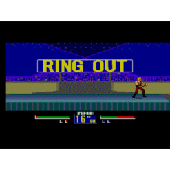 VIRTUA FIGHTER ANIMATION MS IG3