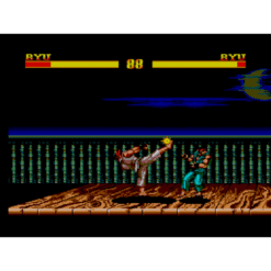 STREET FIGHTER II MS IG3