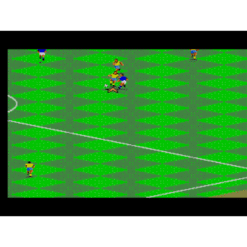 FIFA INTERNATIONAL SOCCER MS IG2