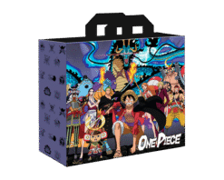 SACO RAFIA ONE PIECE