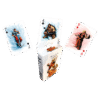 BARALHO DE CARTAS STREET FIGHTER FC