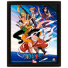 QUADRO LENTICULAR ONE PIECE STRAW HAT PIRATES 25X20 FC
