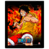 QUADRO LENTICULAR ONE PIECE BROTHERS BURNING RAGE 25X20 FC