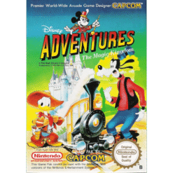 DISNEY ADVENTURES THE MAGIC KINGDOM NES