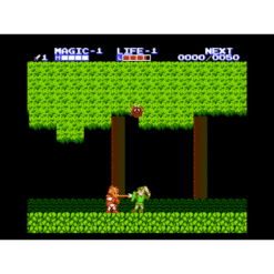 ZELDA II THE ADVENTURE OF LINK NES IG2