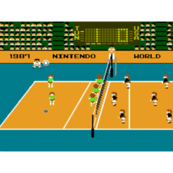 VOLLEYBALL NES IG3