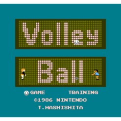 VOLLEYBALL NES IG1