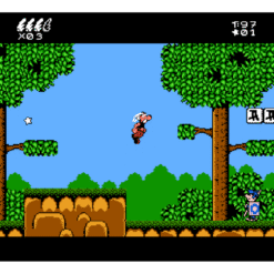 ASTERIX NES IG3