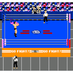 PRO WRESTLING NES IG1