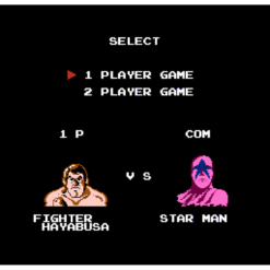 PRO WRESTLING NES IG3