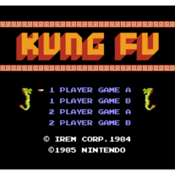 KUNG FU NES IG1
