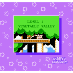 KIRBYS ADVENTURE NES IG2