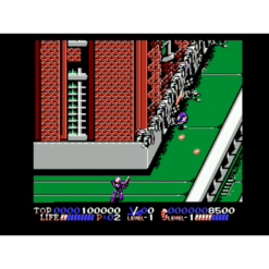 ISOLATED WARRIOR NES IG2