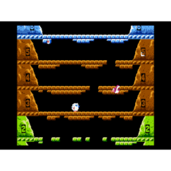 ICE CLIMBER NES IG2