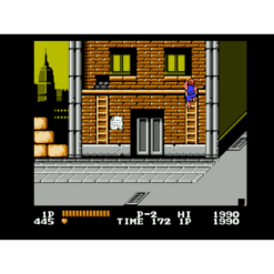 DOUBLE DRAGON NES IG3