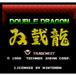 DOUBLE DRAGON NES IG1
