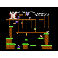 DONKEY KONG JR NES IG1