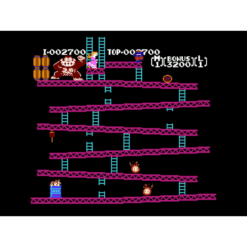 DONKEY KONG CLASSICS NES IG3