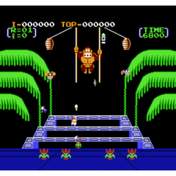 DONKEY KONG 3 NES IG2