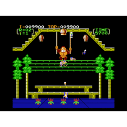 DONKEY KONG 3 NES IG3