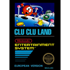 CLU CLU LAND NES
