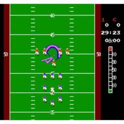 10 YARD FIGHT NES IG2