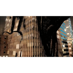 SPIDER MAN LA REGNE DES OMBRES LUNION SACREE PS2 SEMI NOVO IG3