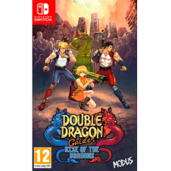 DOUBLE DRAGON GAIDEN  RISE OF THE DRAGONS NSW