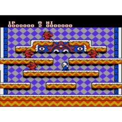 SNOW BROTHERS NES IG3
