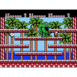 SNOW BROTHERS NES IG2