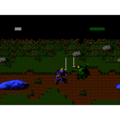 ROBIN HOOD PRINCE OF THIEVES NES IG3