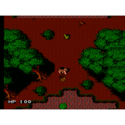 ROBIN HOOD PRINCE OF THIEVES NES IG2