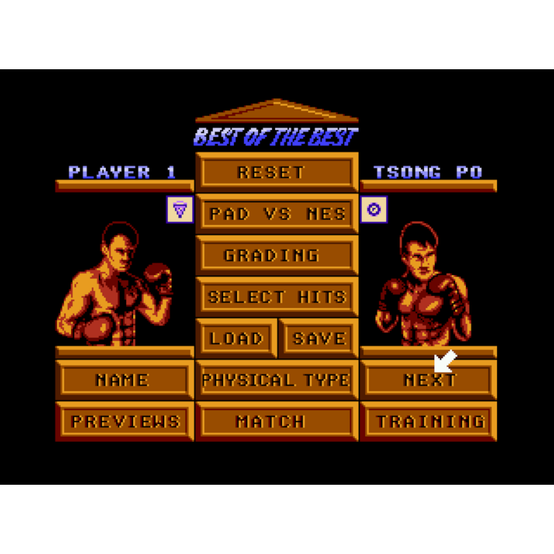 BEST OF THE BEST CHAMPIONSHIP KARATE NES - Image 2