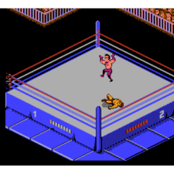 WWF WRESTLEMANIA CHALLENGE NES IG3