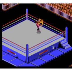 WWF WRESTLEMANIA CHALLENGE NES IG2
