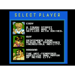 MIGHTY FINAL FIGHT NES IG2