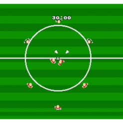 TECMO WORLD CUP SOCCER NES IG1