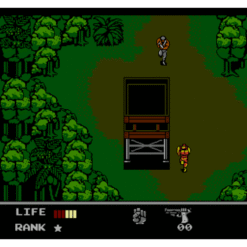 SNAKES REVENGE NES IG3